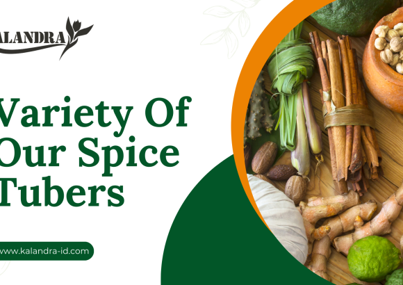 Variety Of Our Spice Tubers