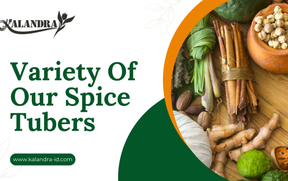 Variety Of Our Spice Tubers