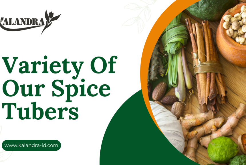 Spices and Herbs Supplier Company Profile Presentation Variety Of Our Spice Tubers