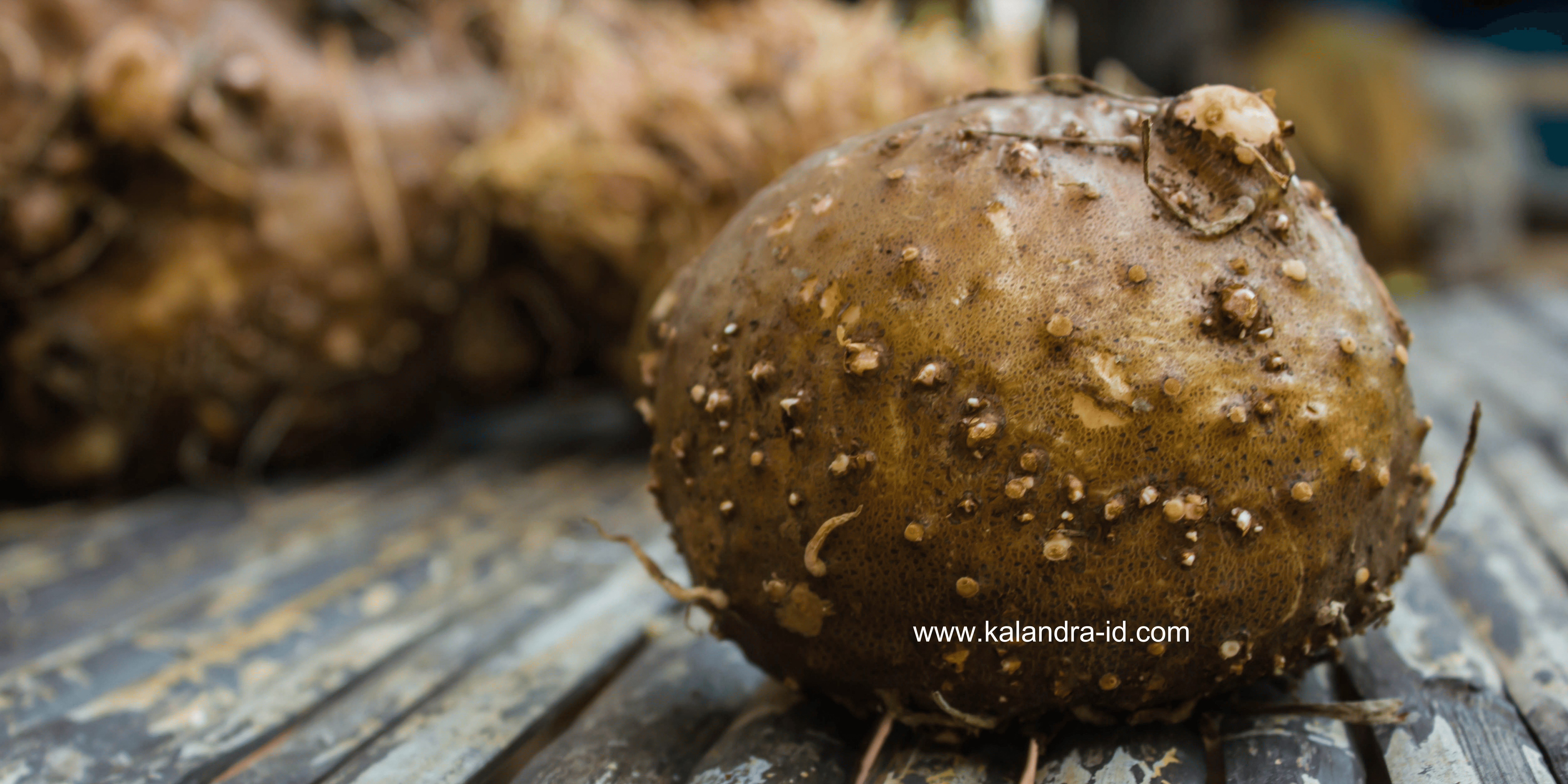 www.kalandra-id.com (4)