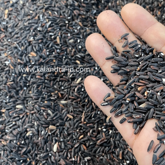 Kalandra Black Pearl Rice Organic