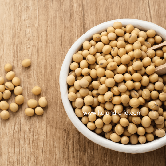 Kalandra Organic Soy Bean